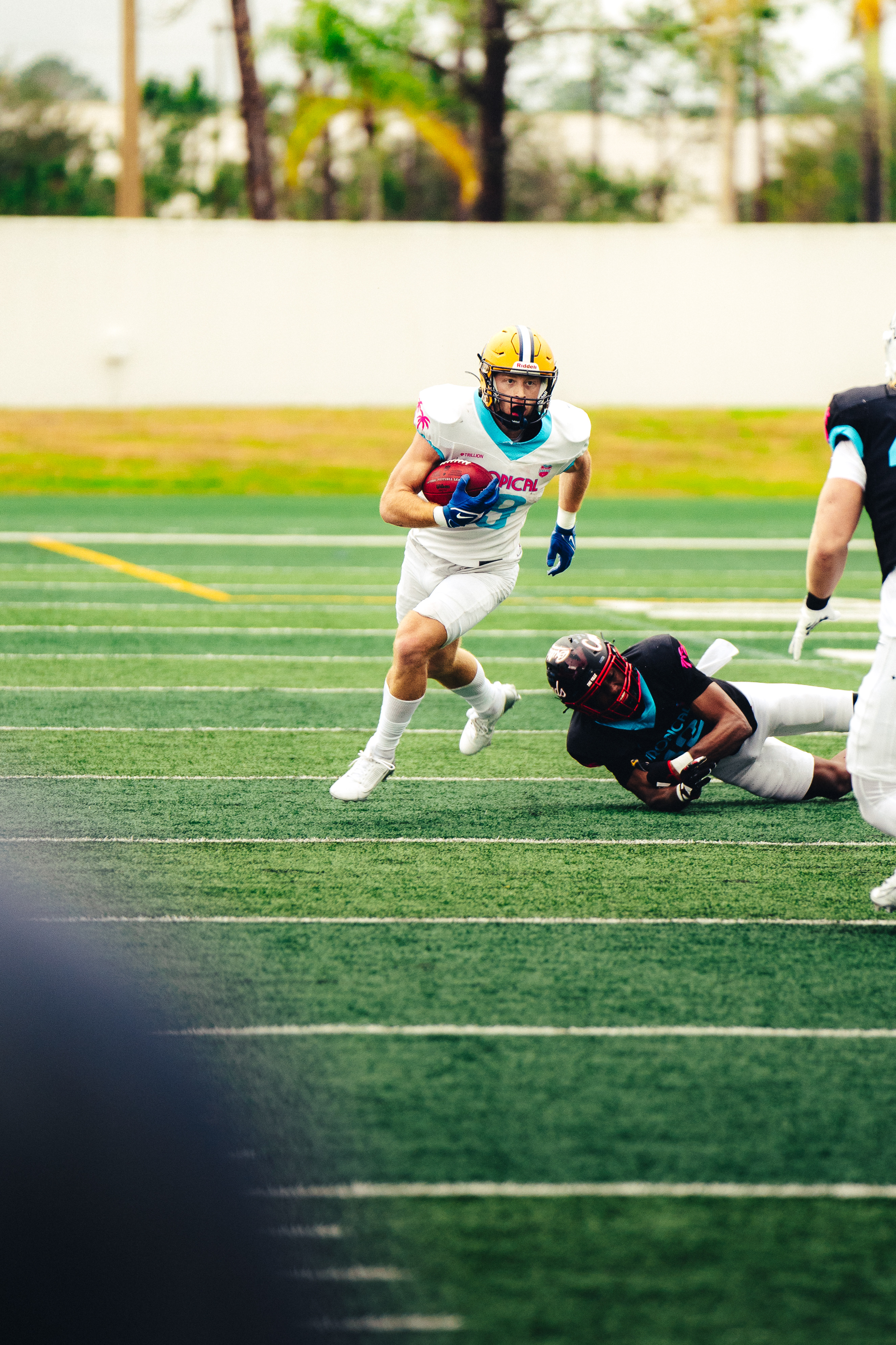 Tropical Bowl action shot